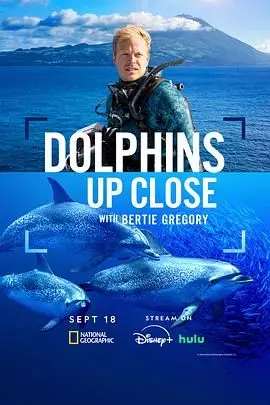 《摄影师贝尔蒂与海豚零距离》：人与自然的温情史诗，镜头下的海洋奇缘！