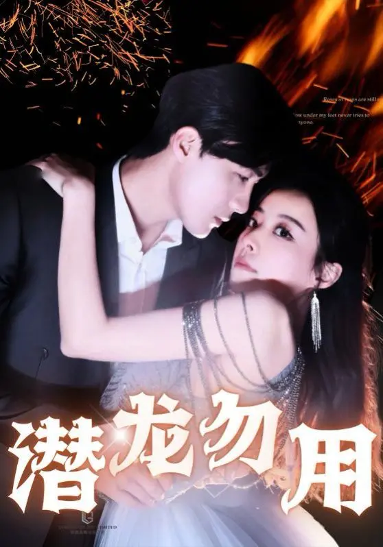 《潜龙勿用》：暗流涌动的政坛争斗，谁是最终的赢家？