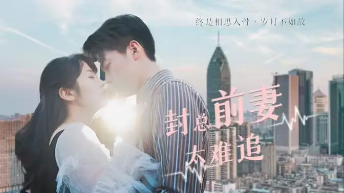 《封总前妻太难追》：这不就是史上最惨霸总追妻血泪史吗？Hello Kitty都看不下去了！