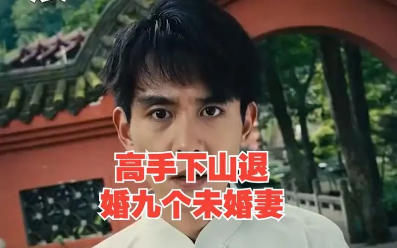 《高手下山退婚九个未婚妻》：职场宫斗？霸总的九个女人！